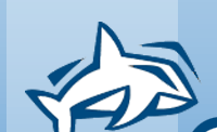 Whale Logo