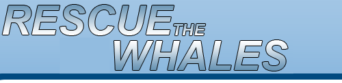 Rescue The Whales